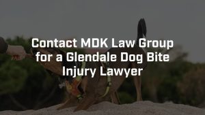 contact Sargon Law Group for a glendale dog bite lawyer