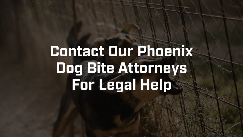 contact our phoenix dog bite attorneys for legal help